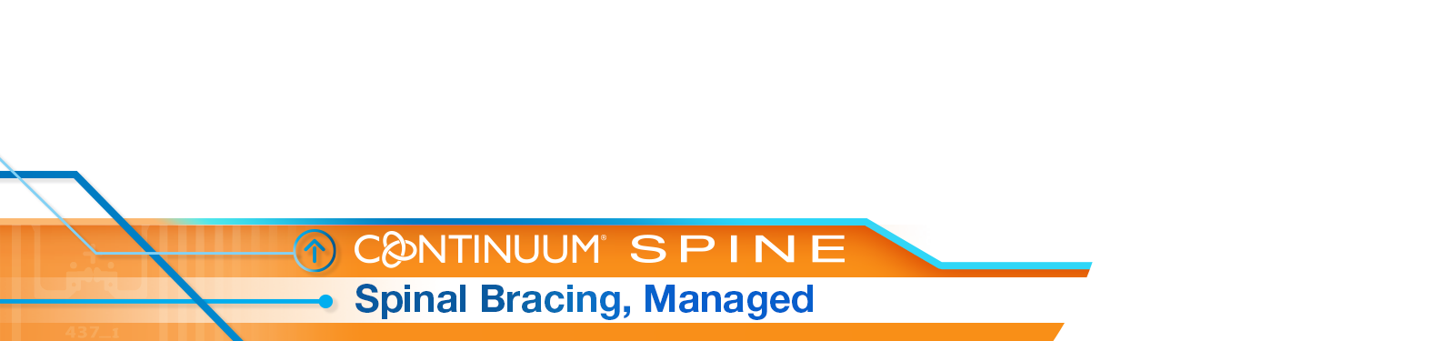 Continuum Spine