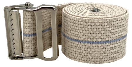 M2616D01 Blue Striped Gait Belt